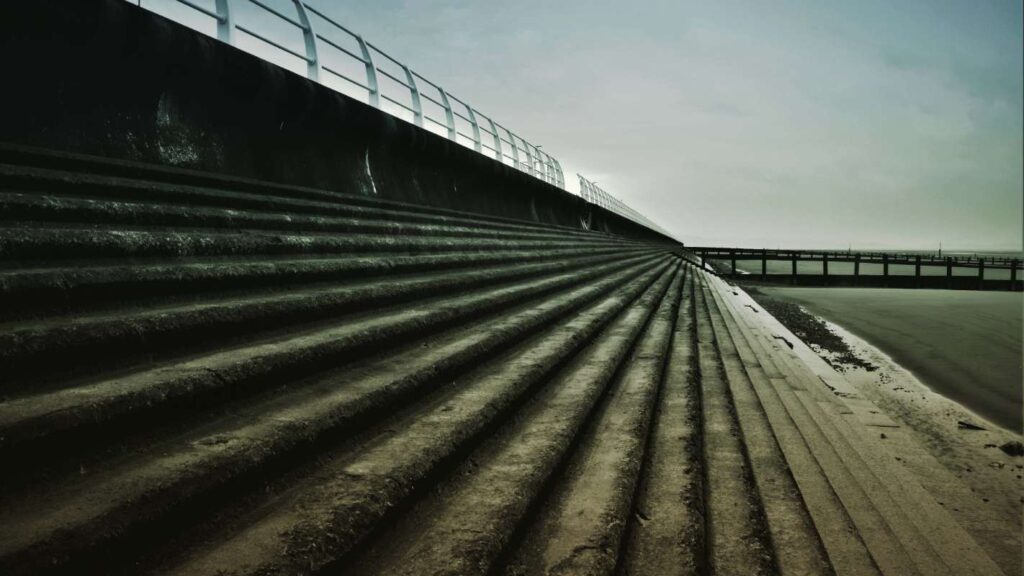 Beautifully Bleak by Christopher Williams