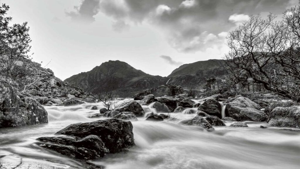 FLOW by Christopher Williams