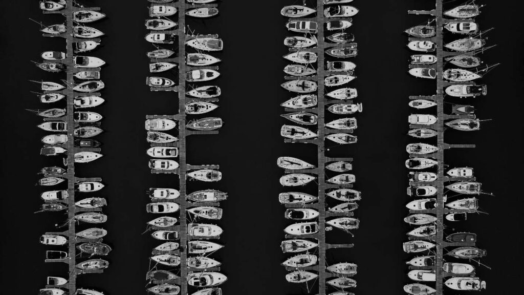 Sardines by Christopher Williams