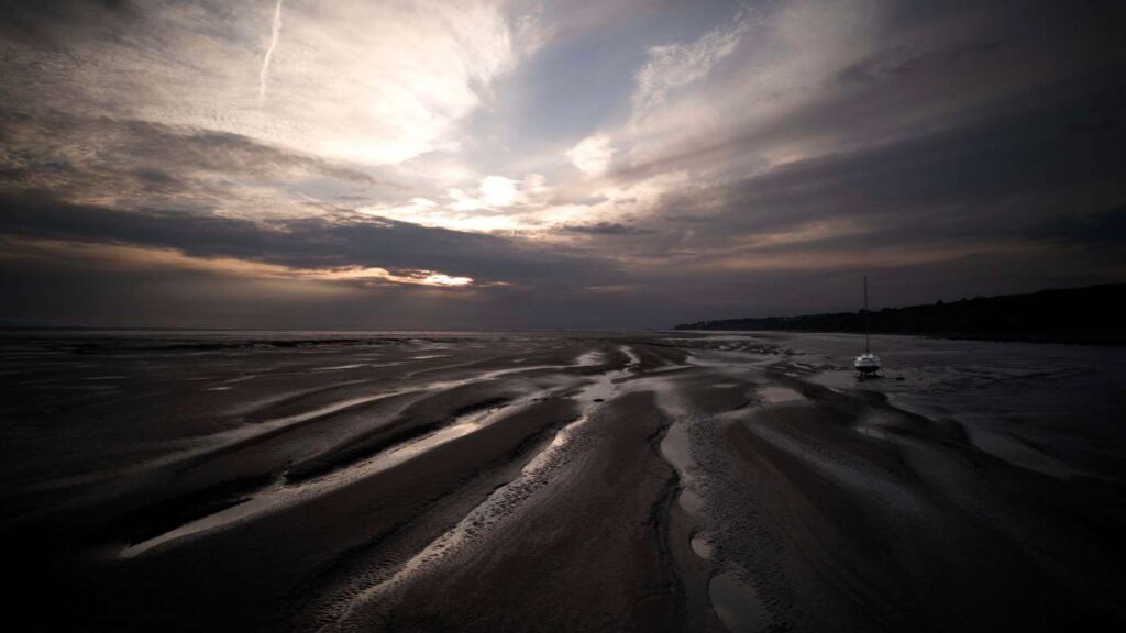 TIDAL by Christopher Williams